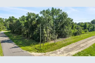 714 E Irene Lane, Citrus Springs, FL 34434 - Photo 1