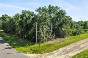 714 E Irene Ln, Citrus Springs, FL 34434 - Photo 1