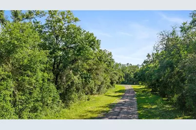 11023 N Glenda Terrace, Dunnellon, FL 34434 - Photo 4
