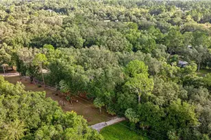 11600 NE 144 Pl, Fort Mc Coy, FL 32134 - Photo 20