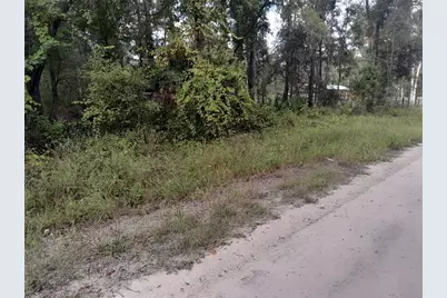 Tbd NE 292nd Avenue, Old Town, FL 32680 - Photo 6