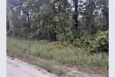 Tbd NE 292nd Avenue, Old Town, FL 32680 - Photo 1