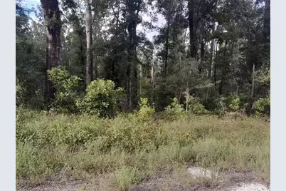 Tbd NE 292nd Avenue, Old Town, FL 32680 - Photo 2