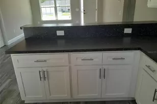 105 Fisher Course, Ocklawaha, FL 32179 - Photo 4