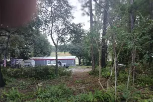 17010 SE 61st Pl, Ocklawaha, FL 32179 - Photo 2