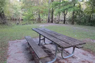 17010 SE 61st Pl, Ocklawaha, FL 32179 - Photo 28