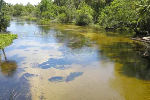 17010 SE 61st Pl, Ocklawaha, FL 32179 - Photo 34