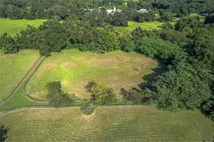 12615 NW Gainesville Rd, Reddick, FL 32686 - Photo 28