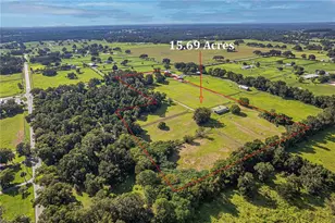 12615 NW Gainesville Rd, Reddick, FL 32686 - Photo 78