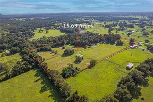 12615 NW Gainesville Rd, Reddick, FL 32686 - Photo 8