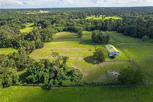 12615 NW Gainesville Rd, Reddick, FL 32686 - Photo 30