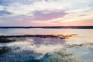 25212 E Hwy 316, Salt Springs, FL 32134 - Photo 6