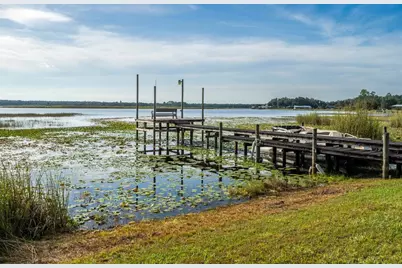 25212 E Highway 316, Salt Springs, FL 32134 - Photo 44