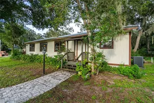 25212 E Hwy 316, Salt Springs, FL 32134 - Photo 48