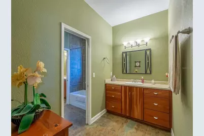 25212 E Highway 316, Salt Springs, FL 32134 - Photo 28