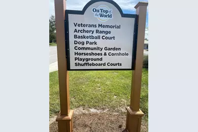 9878 SW 97th Lane, Ocala, FL 34481 - Photo 36