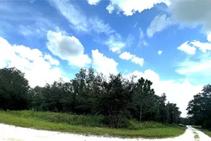 0 SW 134th Ct, Dunnellon, FL 34432 - Photo 1