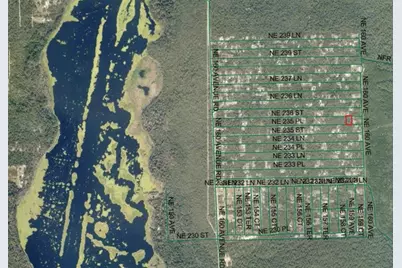 Lot 21 NE Street, Fort Mc Coy, FL 32134 - Photo 2