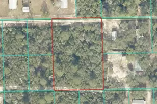 Lot 21 NE St, Fort Mc Coy, FL 32134 - Photo 1