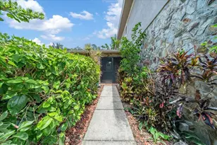 2589 Knoll St W, Palm Harbor, FL 34683 - Photo 4