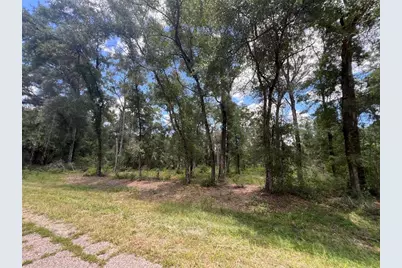 1628 E Derby Drive, Dunnellon, FL 34434 - Photo 4