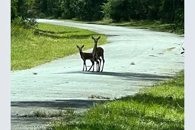 1628 E Derby Drive, Dunnellon, FL 34434 - Photo 10