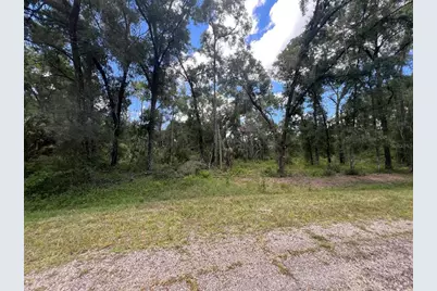 1628 E Derby Drive, Dunnellon, FL 34434 - Photo 6