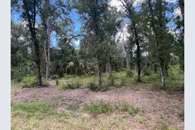1628 E Derby Drive, Dunnellon, FL 34434 - Photo 2