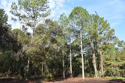 180 Caravelle Farms Road, Palatka, FL 32177 - Photo 26