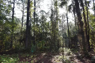 180 Caravelle Farms Road, Palatka, FL 32177 - Photo 30