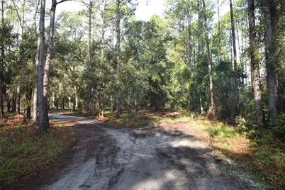 180 Caravelle Farms Road, Palatka, FL 32177 - Photo 28