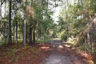 180 Caravelle Farms Road, Palatka, FL 32177 - Photo 20