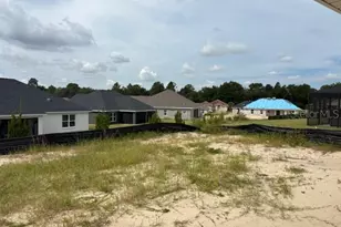 6590 SW 179th Ave Rd, Dunnellon, FL 34432 - Photo 10