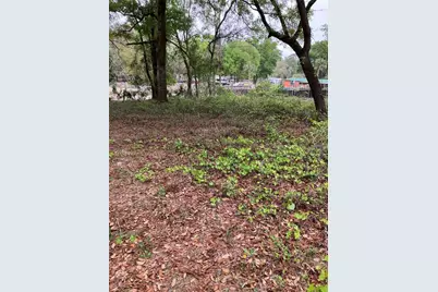Tbd Lot 58 SE 1st Lane, Silver Springs, FL 34488 - Photo 8
