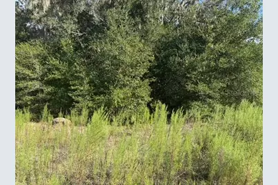Lot 18 SW 146th Avenue, Ocala, FL 34481 - Photo 4