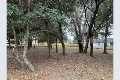 Lot 30 Hemlock Radial Court, Ocala, FL 34472 - Photo 12