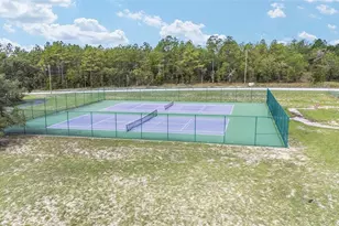 391 NW Crocus Ln, Dunnellon, FL 34431 - Photo 30