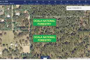 NE 240th Ave, Salt Springs, FL 32134 - Photo 1