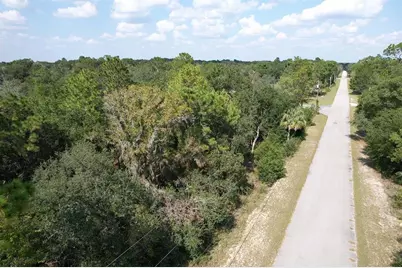 11682 N Belluzzi Terrace, Dunnellon, FL 34433 - Photo 6