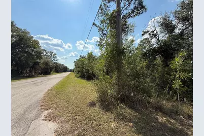 11682 N Belluzzi Terrace, Dunnellon, FL 34433 - Photo 8