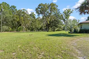 11350 SE 35 St, Morriston, FL 32668 - Photo 6