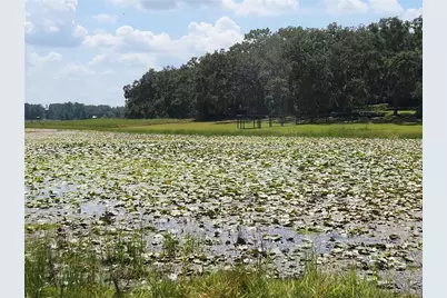 Lot 53 SW Shorewood Drive, Dunnellon, FL 34431 - Photo 4