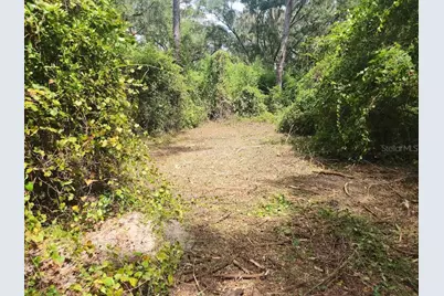 Lot 53 SW Shorewood Drive, Dunnellon, FL 34431 - Photo 10