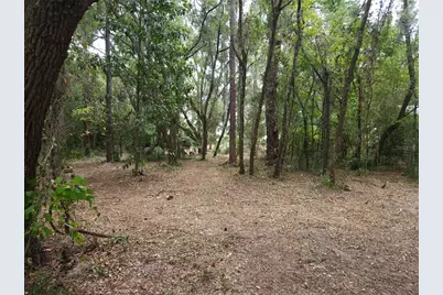 Lot 53 SW Shorewood Drive, Dunnellon, FL 34431 - Photo 8