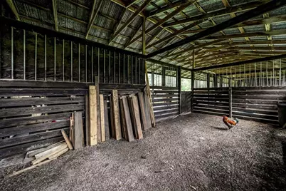 39005 State Road 575, Dade City, FL 33523 - Photo 38