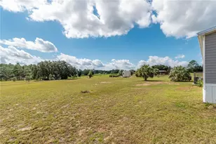 15919 SE 108 Loop, Ocklawaha, FL 32179 - Photo 44
