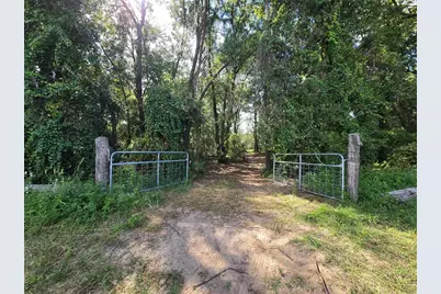 4286 N Carl G Rose Highway, Hernando, FL 34442 - Photo 1