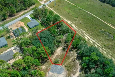 2779 W Tracy Court, Citrus Springs, FL 34433 - Photo 6