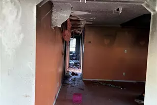 16230 SE 135 Ct, Weirsdale, FL 32195 - Photo 12