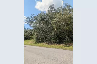 8010 N Primrose Drive, Citrus Springs, FL 34434 - Photo 12